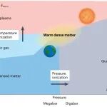 研究进展：温稠密物质-硬X射线自由电子激光XFEL | Nature Reviews Physics