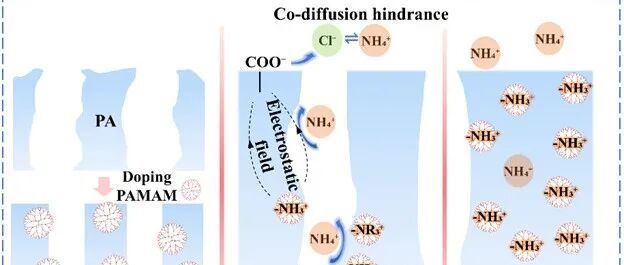 哈尔滨工业大学马军院士团队鲍现课题组ES&T：多级屏障强化反渗透复合膜铵选择性