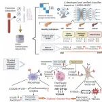 Cell Discovery | 海军军医大学黄浩杰/李兆申/金震东等揭示基于血浆外泌体全转录组的慢性胰腺炎风险分层及背景机制