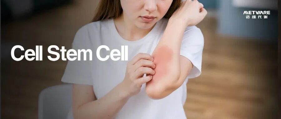 Cell Stem Cell | 皮肤受伤后，TA决定你是否会留疤？斯坦福大学多组学揭示皮肤修复关键机制！
