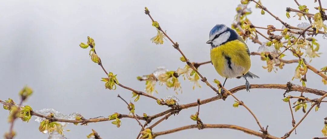 杨增岽，张浩一 | 马克思主义对西方现代化的“ 扬弃” 及其对中国式现代化的启示