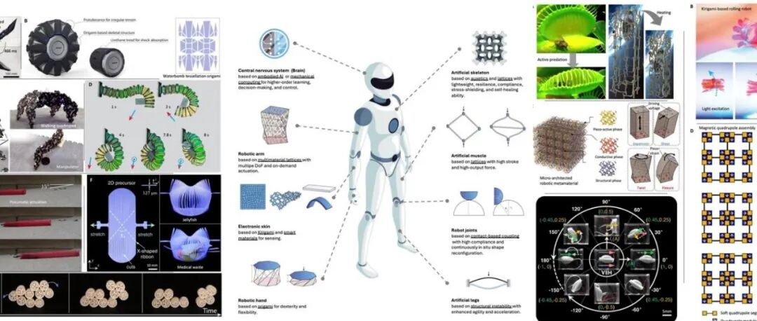 顶刊《Science Robotics》：超材料机器人！