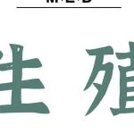 Adv Sci | 张慧东/沈晓婷：双酚B暴露通过抑制滋养层细胞迁移体形成而引发流产