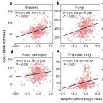 Ecology Letters | 福建农林大学博士生 | 揭示叶际细菌和真菌多样性维持机制的差异