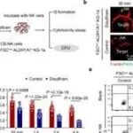中国科学技术大学倪芳/姜洪源最新Nature子刊