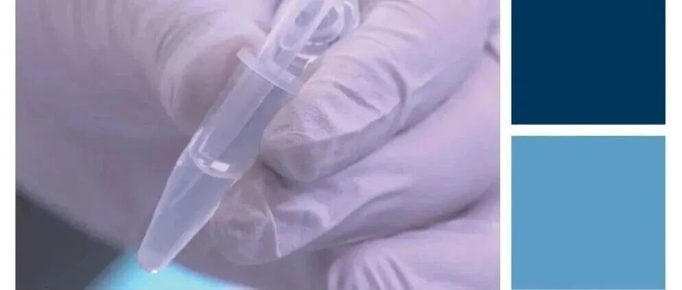 技术干货｜免疫沉淀（IP）成功指南免费下载