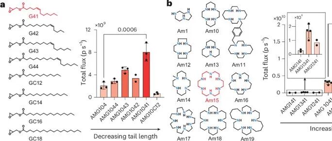 【Nature Nanotechnology】可降解环氨基醇电离脂质作为强效流感mRNA疫苗载体