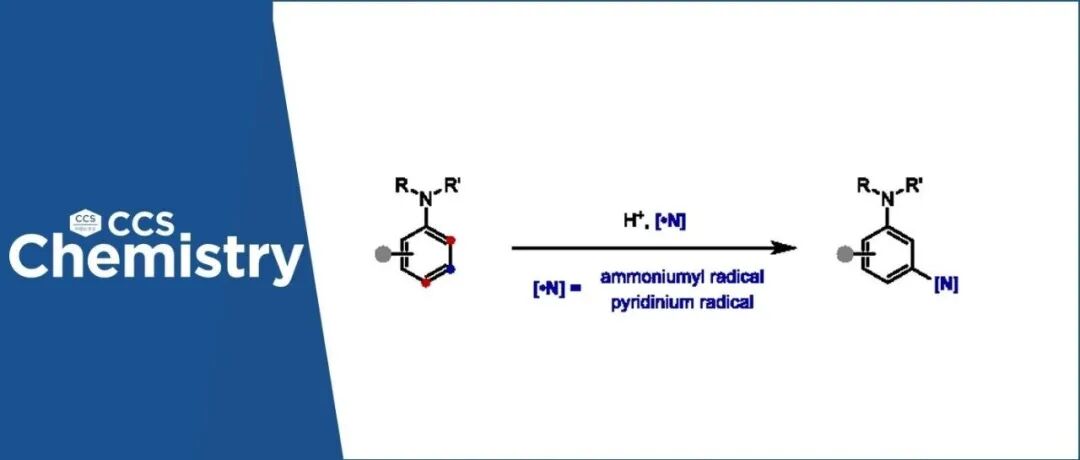 【CCS Chem.】酸促进的苯胺间位碳氢键胺化直接合成间二苯胺