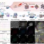 深圳大学陈嘉平团队AFM：相态调控界面极化强化类芬顿氧化与自诱导絮凝——基于高熵材料的环境修复新策略