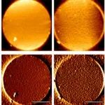 《Nature》子刊：单层功能化石墨烯薄膜材料，直接应用于燃料电池！