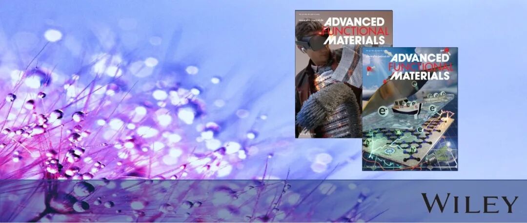 【光电器件】AFM：面向智能光电子学的光谱可调二维材料红外光电探测器