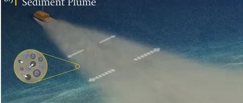 NC：深海采矿后的“尘土”去哪了？钍-234告诉你答案