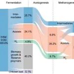 哈尔滨工业大学（深圳）刘文宗等ESE：低强度废水处理新突破——电应力与偶氮染料协同促进产甲烷