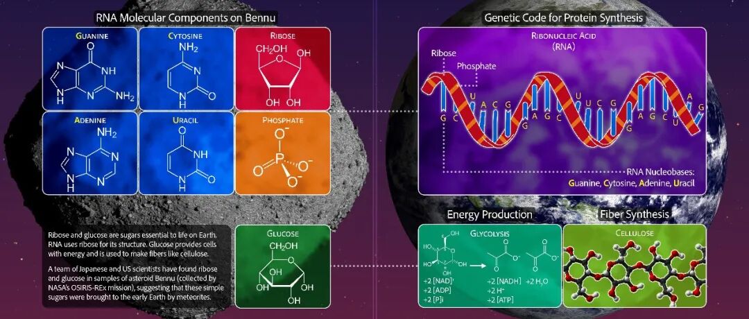 生命起源的星际密码：贝努小行星样品揭示三大惊人发现！