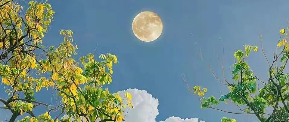 王中江 | 基于普遍相关性的中国关系主义世界图像