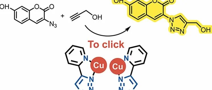 JACS &#166; 通过可点击非天然氨基酸实现叠氮-炔环加成反应的双核铜酶逆合成设计