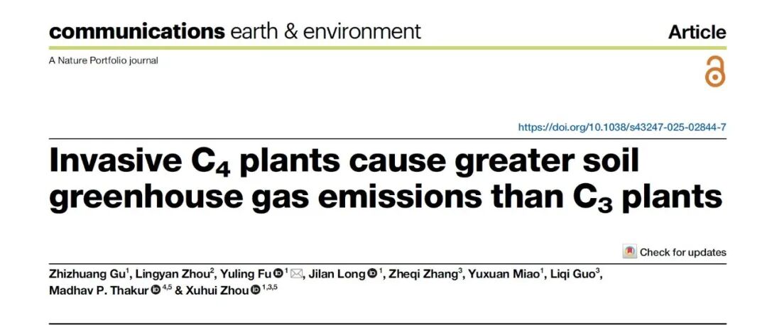 Communications Earth & Environment| 华东师大伏玉玲教授团队：C4植物入侵加剧土壤温室气体排放