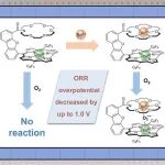【JACS】陕西师大曹睿课题组：利用CoIII咔咯促进氧气活化，以提升电催化氧还原反应的性能