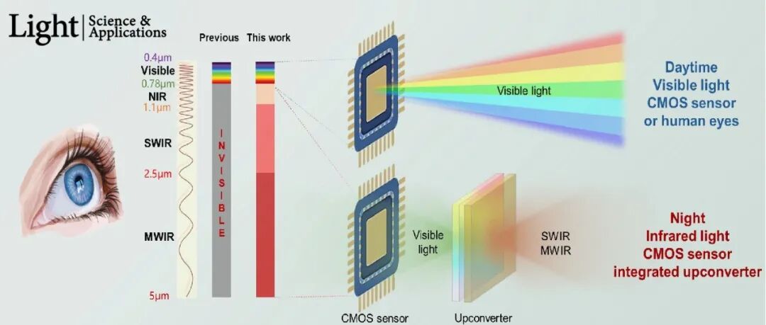 唐鑫/牟鸽等 Light | 蛇类启示：构建室温超高清红外“慧眼”