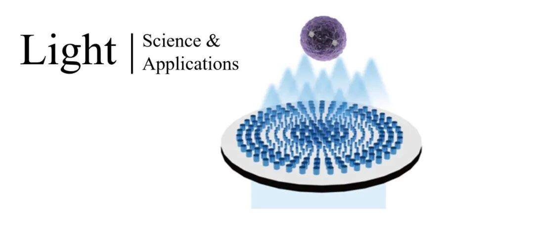 Light | 多焦点超构透镜图像扫描显微镜辅助实现类脑器官的亚衍射极限成像