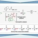 【JACS】上海交大张万斌教授/张振锋研究员：手性双环咪唑催化去对称化构建磷手性中心