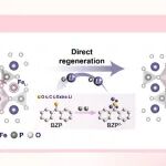 【JACS】武汉大学钱江锋教授：芳香酮介导双电子锂化，实现废旧LiFePO₄室温5分钟直接再生