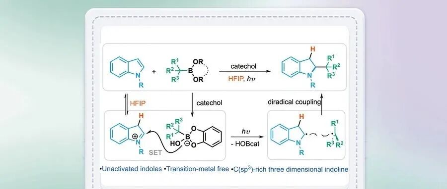【JACS】德克萨斯大学Tian Qin团队：未活化吲哚脱芳构化氢烷基化