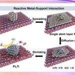 【JACS】重磅——中国科大洪勋/林岳团队：单原子层诱导反向扩散，揭示金属-载体相互作用新机制
