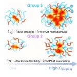 四川大学冯玉军团队 Macromolecules:量化高分子量热增黏聚合物在纯水中的增黏能力
