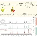 中国林科院林化所周永红、贾普友/南林沙野 Green Chem.：可化学回收、全生物基聚烯烃体系