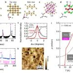 研究进展:铁基超导-分子束外延FeTe薄膜 | Nature Communications