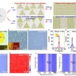 研究前沿:武汉大学何军团队:铁电半导体-二硫化钨WS₂ | Advanced Materials
