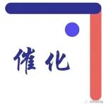 云斯宁团队JMCA观点:协同增效!双活性位点碳基催化剂实现高效析氢与光电转化