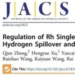 上海交通大学张礼知团队JACS：揭示铑单原子配位环境调控促进反向氢溢流和电化学还原脱氯