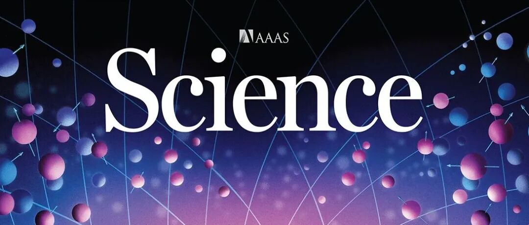 AI聊天机器人对我们的观念有多大影响力？【Science周一新闻】