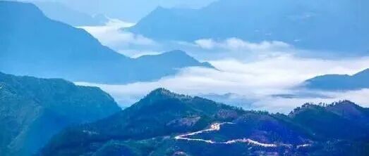 施劲松 | 中国西南地区青铜文化的多样性形态与一体化走向