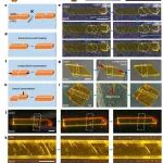 吉林大学，Nature Materials：新突破！材料在常温和高温下愈合，而且还能在77 K下实现自主恢复