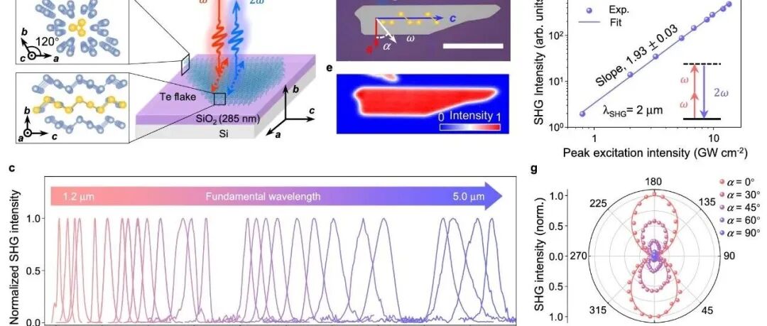 成果 | 孙栋课题组与合作者首次实验证实拓扑增强的超宽带二次谐波产生