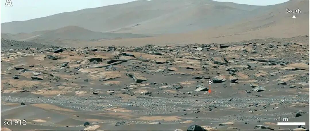 毅力号重磅发现：火星曾有“热带雨林”？