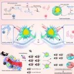 福建医科大学刘小龙等团队合作最新Nature子刊