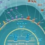 干货下载｜研究者指南：肿瘤研究标志性事件及靶标