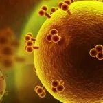 世界第七位HIV“治愈者”诞生！Nature｜杂合 CCR5Δ32 干细胞移植实现六年缓解，免疫清除成新关键