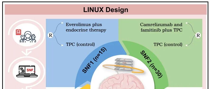 复旦大学邵志敏团队合作最新Cell子刊