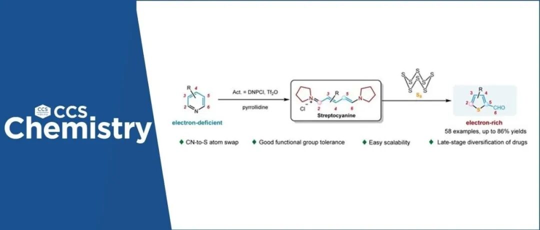 【CCS Chem.】四川大学付海燕/陈华团队开发新型骨架编辑策略，实现吡啶至噻吩的高效转化