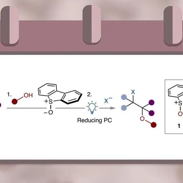 曼彻斯特大学Procter组Nat. Chem.：可公斤级反应的烯烃光催化杂双官能团化