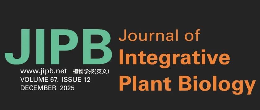 JIPB | Current Issue: Volume 67 Issue 12 2025