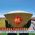 践行新发展理念 中国经济行稳致远丨乡村全面振兴扎实推进 农业农村现代化迈出坚实步伐