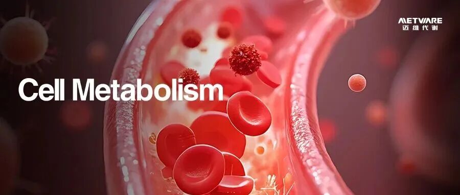 Cell Metab | 中科院分子细胞卓越中心周波团队揭示造血干细胞代谢异质性