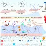 ACS Nano | 四川大学郑城团队设计具有抗凝、抗炎及促内皮化功能的ROS响应型拟糖萼水凝胶修饰生物瓣膜