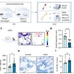 空军军医大学胡学昱/董玉琳最新Science子刊